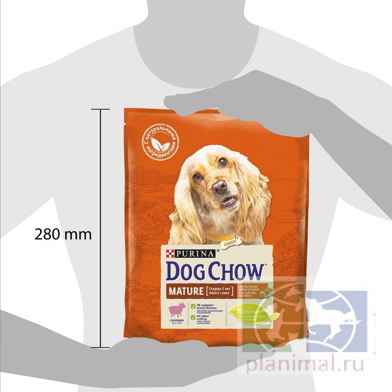 Сухой корм Purina Dog Chow Mature Adult для собак старше 5 лет, ягнёнок, пакет, 800 г