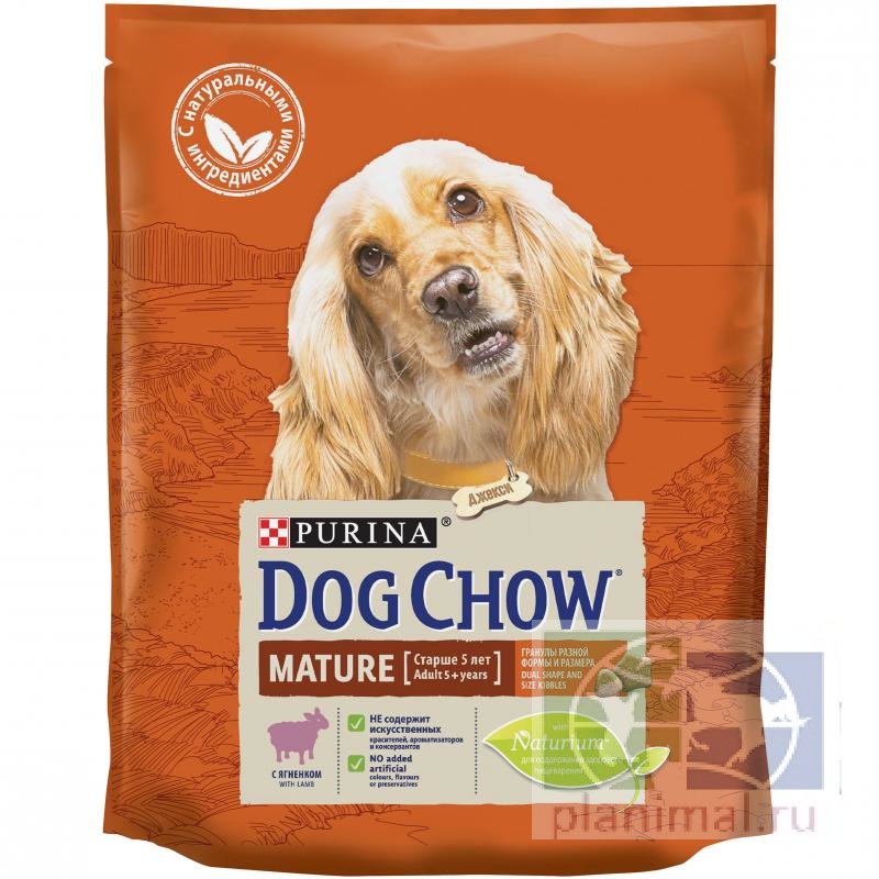Сухой корм Purina Dog Chow Mature Adult для собак старше 5 лет, ягнёнок, пакет, 800 г