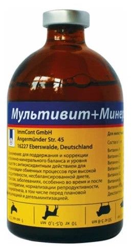 ImmCont Мультивитамин + минералы 100 мл