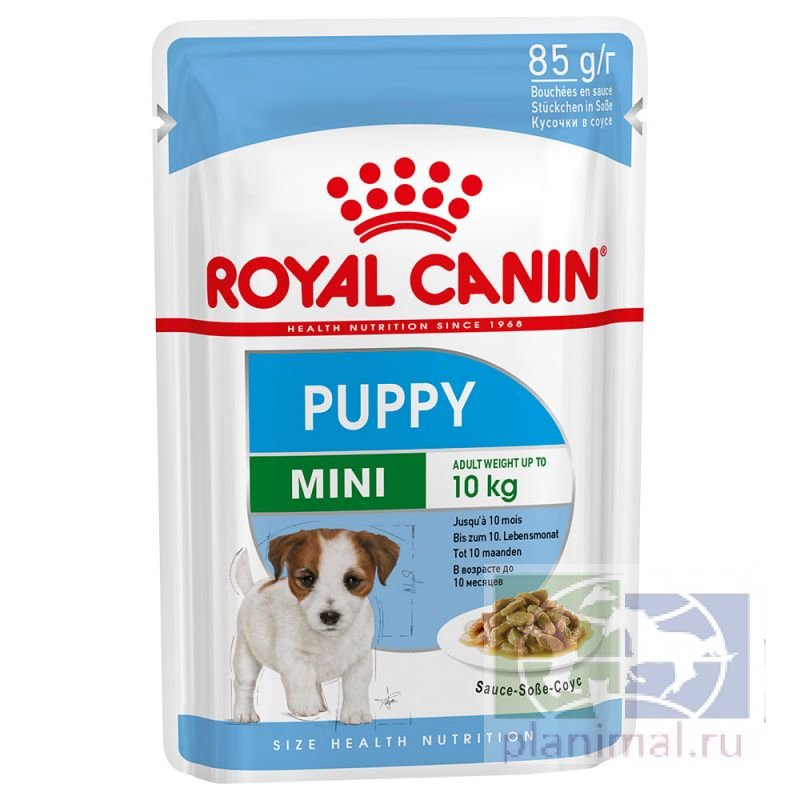 Royal Canin Mini Puppy кусочки в соусе для щенков мелких пород собак до 10 мес., 85 гр.