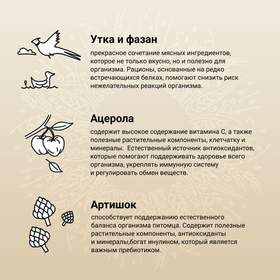Craftia Natura: сухой корм, для взрослых собак средних и крупных пород, из утки с фазаном, 640 гр.