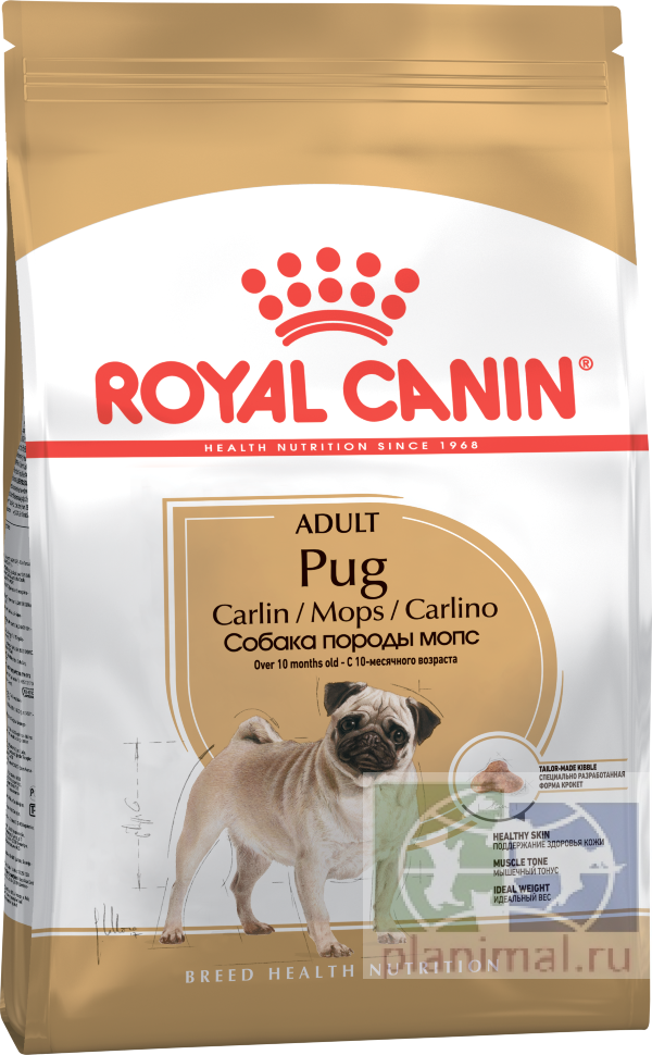 RC Pug Adult Корм для собак породы Мопс от 10 месяцев, 1,5 кг