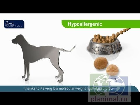 Advance диета для собак с проблемами ЖКТ и пищевыми аллергиями Hypo Allergenic, 2,5 кг