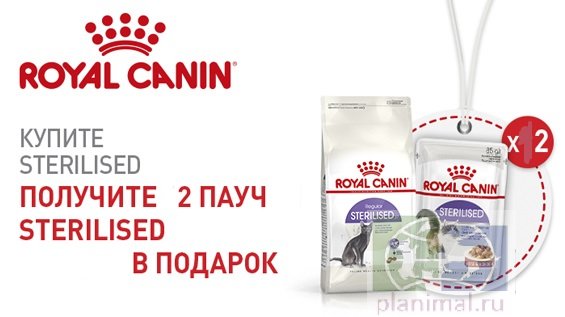 Интернет Магазин Корм Для Кастрированных Котов