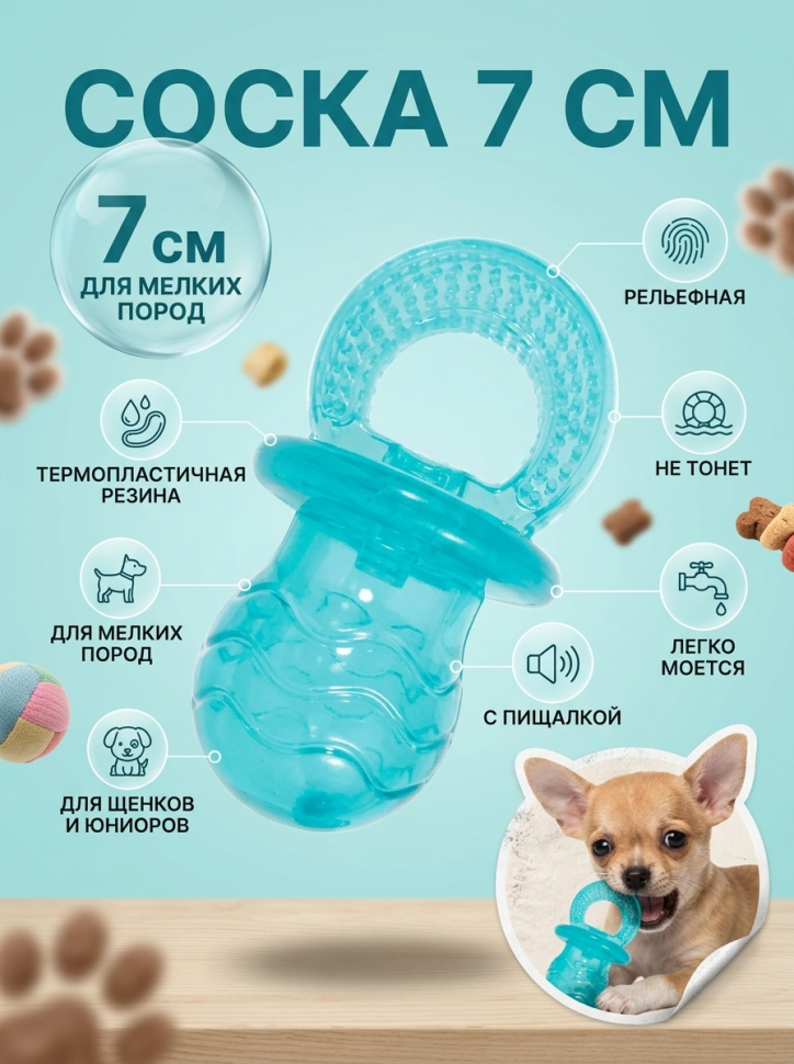 ZOLUX Игрушка из термопластичной резины Соска, бирюзовая, 7 см, 479072TUR