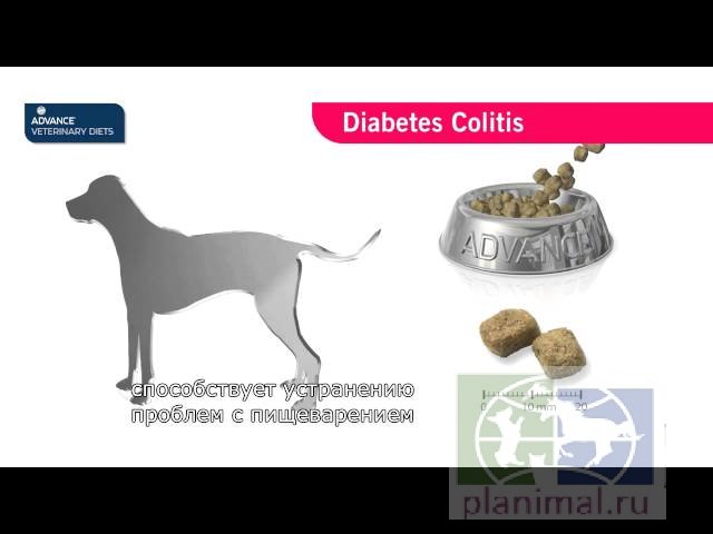 Advance диета для собак сахарном диабете и колитах Diabetes Colitis, 12 кг