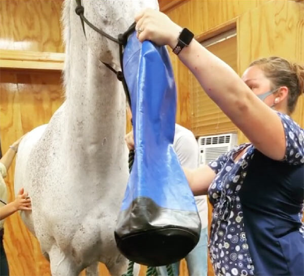 Идальго: Масло пихтовое натуральное эфирное для ингаляций и растираний при мышечных болях, 100 мл