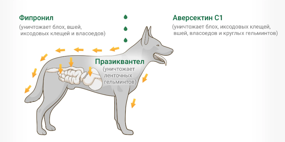 ИН-АП комплекс: капли от блох и глистов для собак до 10 кг, 1 мл