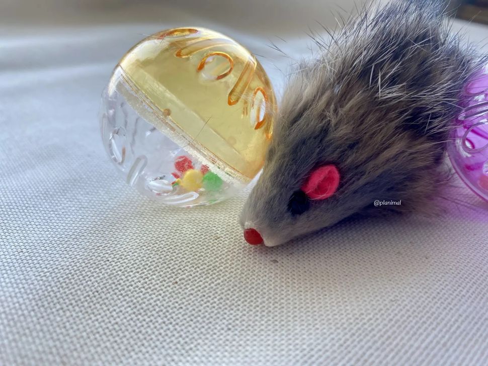 Triol: Набор игрушек для кошек "Активная игра 10", 2 мяча d=4,5 см, мышь 5,5 см, 22181041