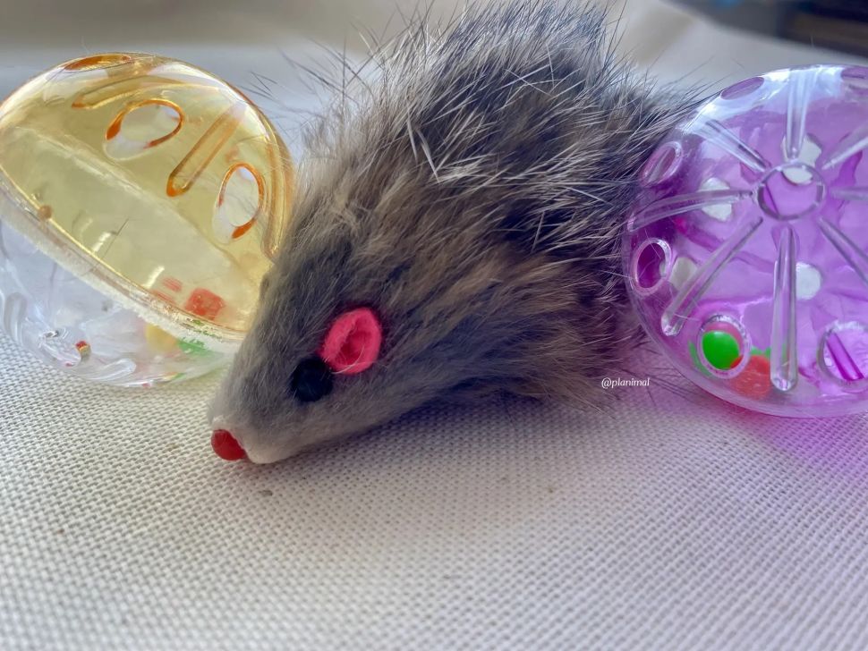 Triol: Набор игрушек для кошек "Активная игра 10", 2 мяча d=4,5 см, мышь 5,5 см, 22181041