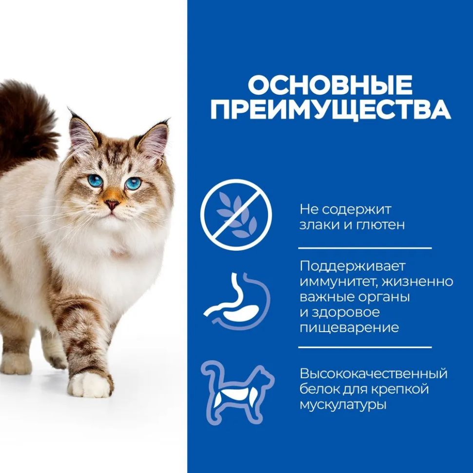 Hill's: Science Plan Adult Cat 1-6 No Grain with Chicken, беззерновой, с курицей, 1.5 кг