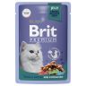 Brit: Premium, Пауч для взрослых, стерилизованных кошек, Утка с яблоками в желе, 85 гр.