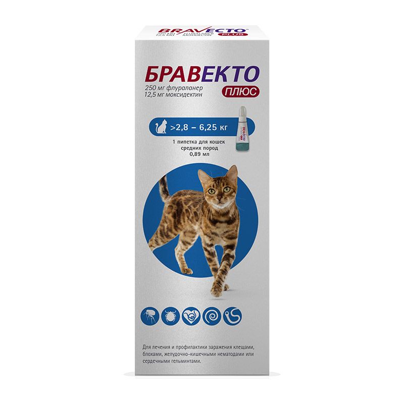 Бравекто Плюс спот Он для кошек 250 мг от блохи клещей, 1 пип. на 2,8-6,25 кг