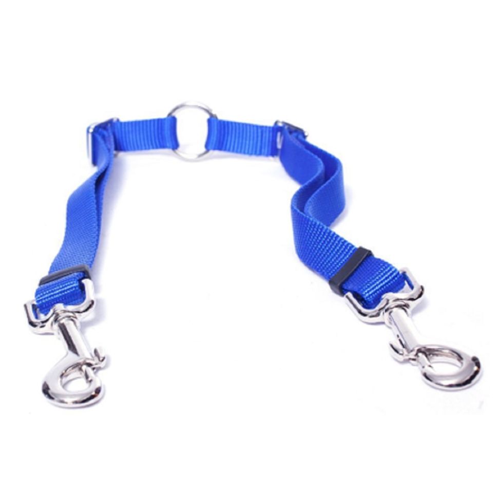 Coastalpet: Сворка для маленьких собак, цвет синий BLU 46-61см