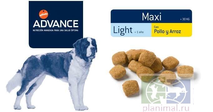 Advance корм для взрослых собак крупных пород с курицей и рисом, контроль веса Maxi Light, 14 кг
