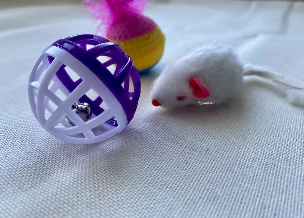 Triol: Набор игрушек для кошек "Активная игра 5", мяч d= 4 см, мышь 4,5 см, шар d=3,5 см, 22181034