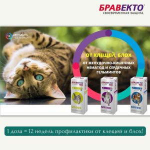 Бравекто Плюс: капли на холку от блох и клещей для кошек 500 мг/25 мг, 6.25-12.5 кг, 1.79 мл, 1 пипетка