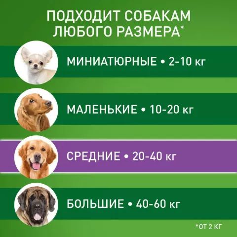 Merial Фронтлайн Комбо L для собак 20-40 кг, 1 пипетка, 2,68 мл