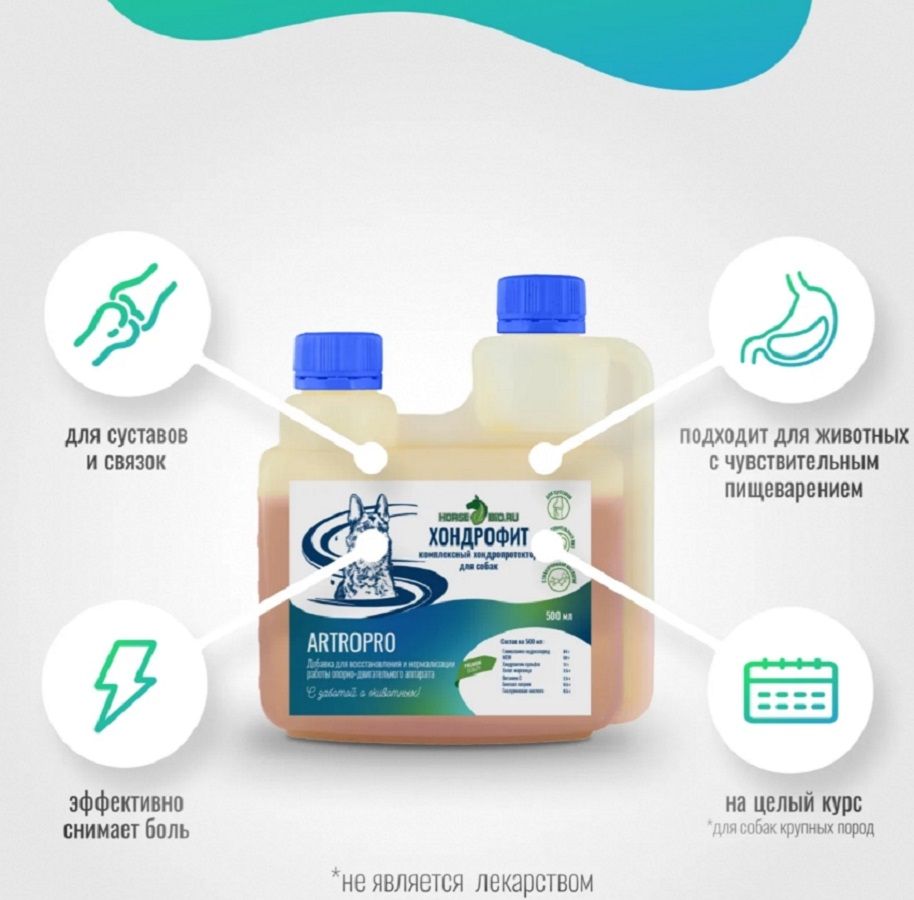 Horse-bio: Хондропротектор Хондрофит ArtroPro для крупных собак c чувствительным пищеварением, 500 мл