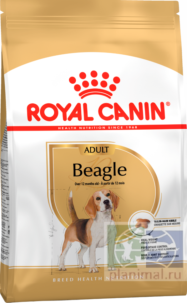 Royal Canin Beagle Adult корм для собак породы бигль с 12 месяцев, 3 кг
