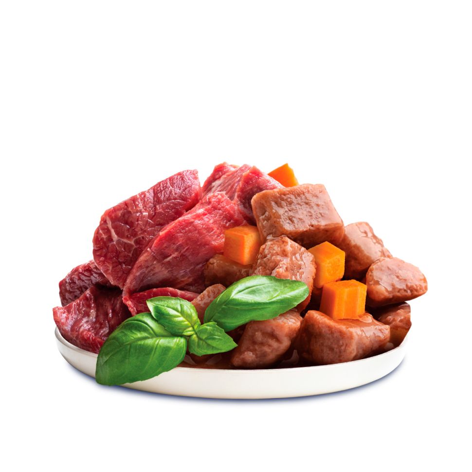 Brit Premium Пауч для собак мини пород с чувств.пищеварением, Ягнёнок и морковь в соусе 85 гр.