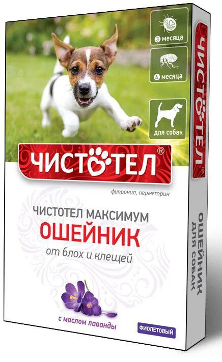 Чистотел-Максимум: ошейник от блох и клещей, для собак, фиолетовый
