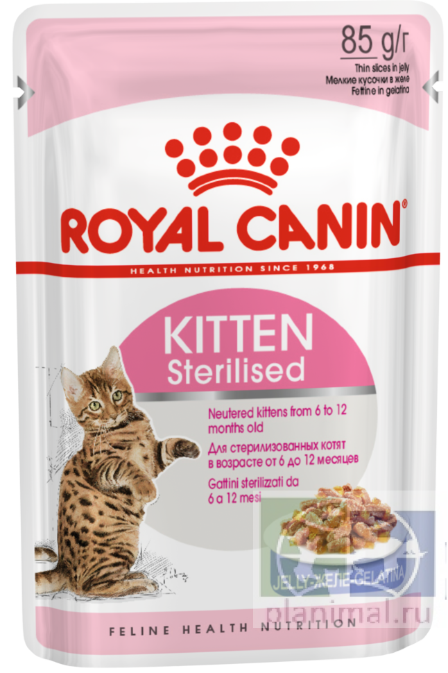 RC Kitten Sterilised Влажный корм для стерилизованных котят от 6 до 12 месяцев в желе, 85 гр.