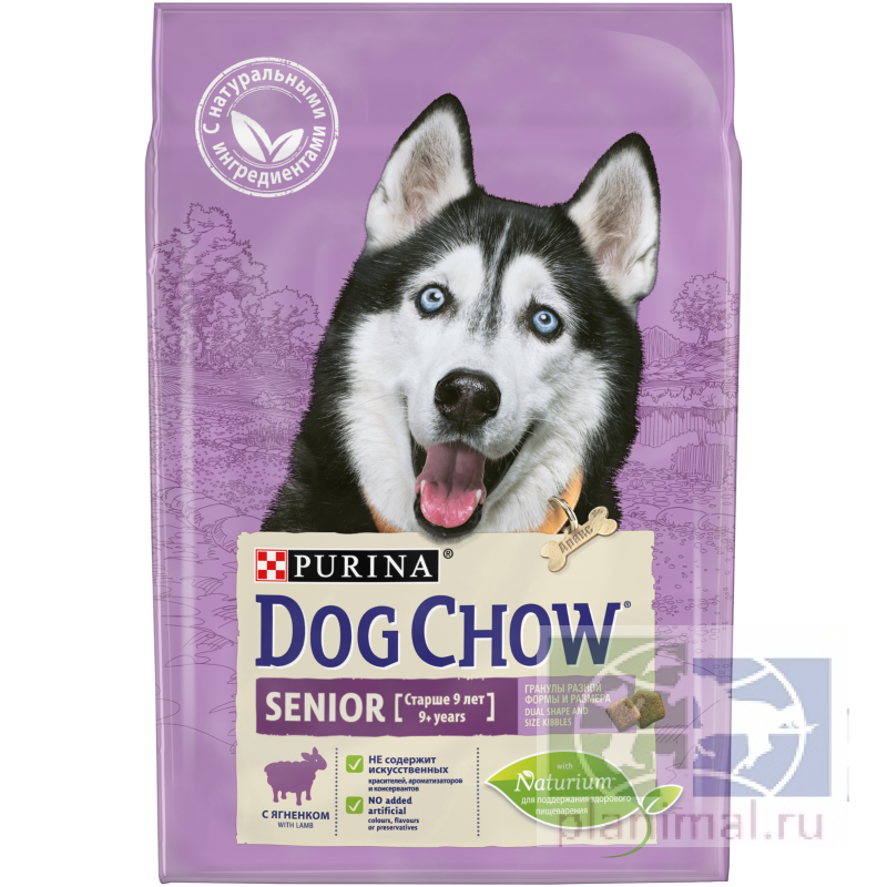 Сухой корм Purina Dog Chow Senior для собак старше 9 лет, ягнёнок, пакет, 2,5 кг