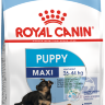 RC Maxi Puppy сухой корм для щенков собак крупных размеров (вес взрослой собаки от 25 до 45 кг) c 2 до 15 месяцев, 15 кг