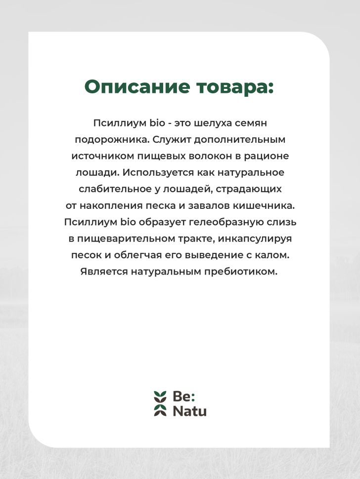 Be:Natu: Псиллиум Bio, натуральное слабительное, пребиотик для лошадей, шелуха семян подорожника, 0,5 кг