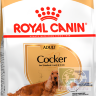 RC Cocker Корм для собак породы Кокер-спаниель от 12 месяцев, 3 кг