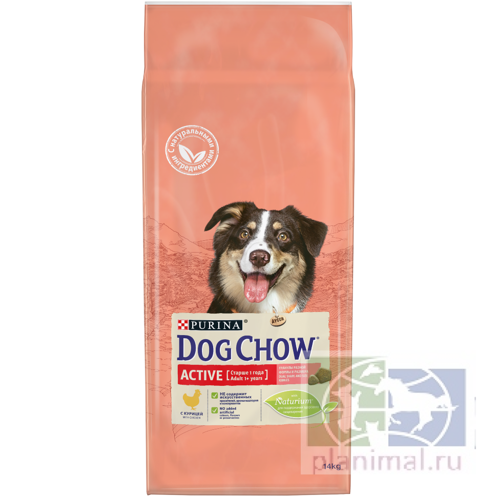 Сухой корм Dog Chow Active для взрослых активных собак, с курицей, пакет, 14 кг