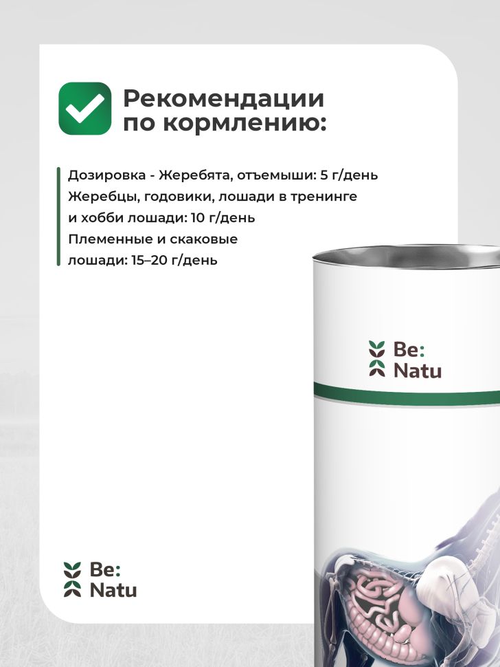 Be:Natu: Mycosorb A+ абсорбент микотоксинов для лошадей, 1 кг