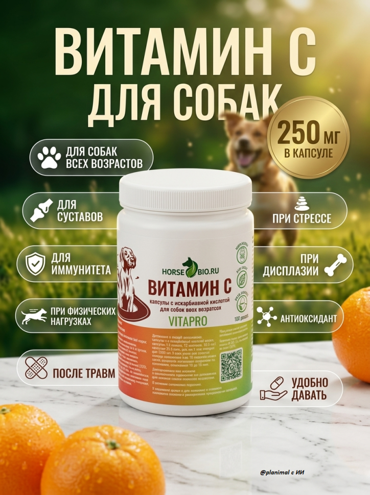 Horse-bio: Желатиновые капсулы Витамин С для собак, 250 мг, 100 капс.