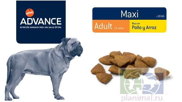 Advance корм для взрослых собак крупных пород с курицей и рисом Maxi Adult, 14 кг