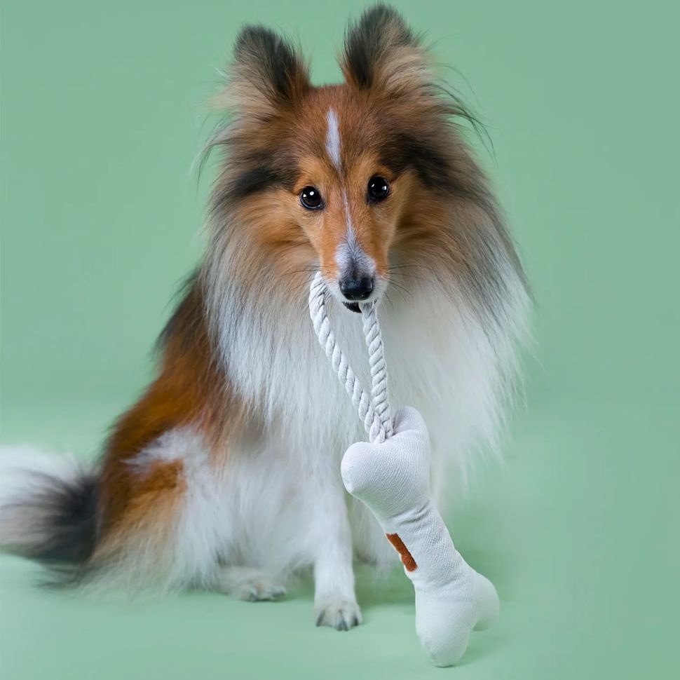 Mr.Kranch: Игрушка для собак мелких и средних пород, Косточка с канатом, бежево-пятнистая, 31х9х4 см