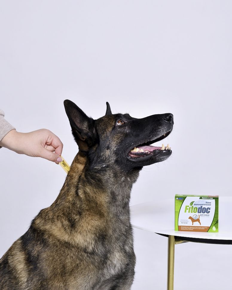 АВЗ: Fitodoc, капли дерматологические для средних собак, 4 пипетки по 1,2 мл