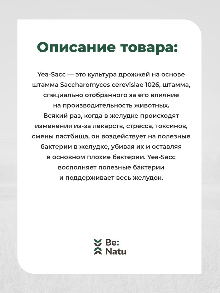 Be:Natu: Yea-Sacc пребиотик для лошадей, 1 кг