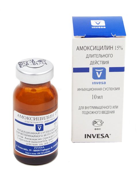 Invesa: Амоксициллин 15%, антибиотик, для инъекций, 10 мл