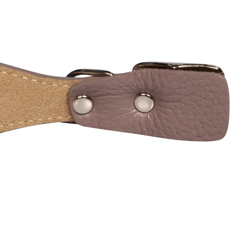 Mr.Kranch: Ошейник для собак, из натуральной кожи, с QR-адресником, бежевый, 38-45 см 