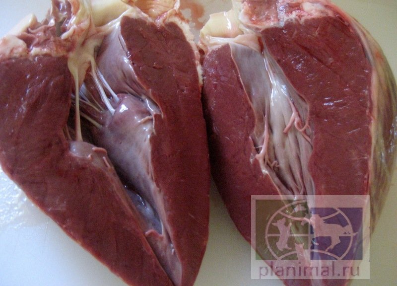 Dog Food Pro: Сердце говяжье, 1 кг