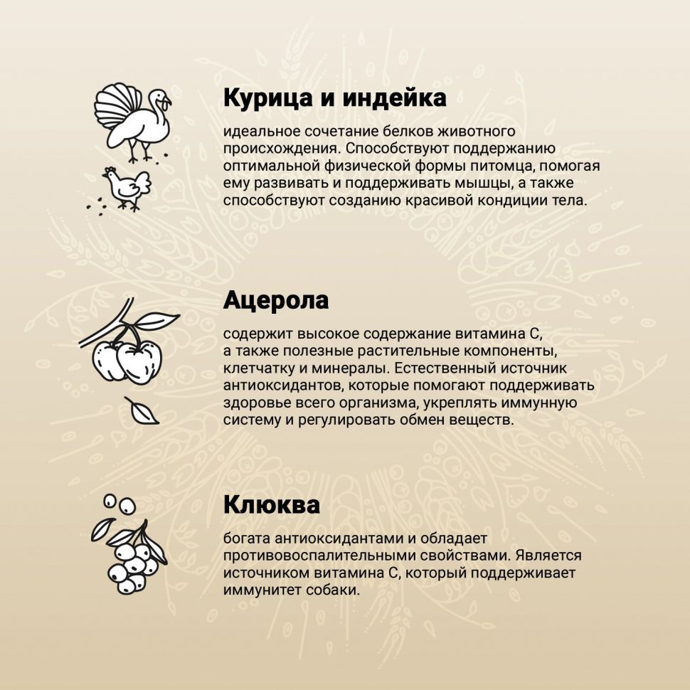 Craftia Natura: сухой корм, для щенков средних и крупных пород, из курицы и индейки, 2 кг