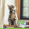 VIYO Reinforces All Ages CAT пребиотический напиток для кошек всех возрастов 7х30 мл, цена за 1 пак.