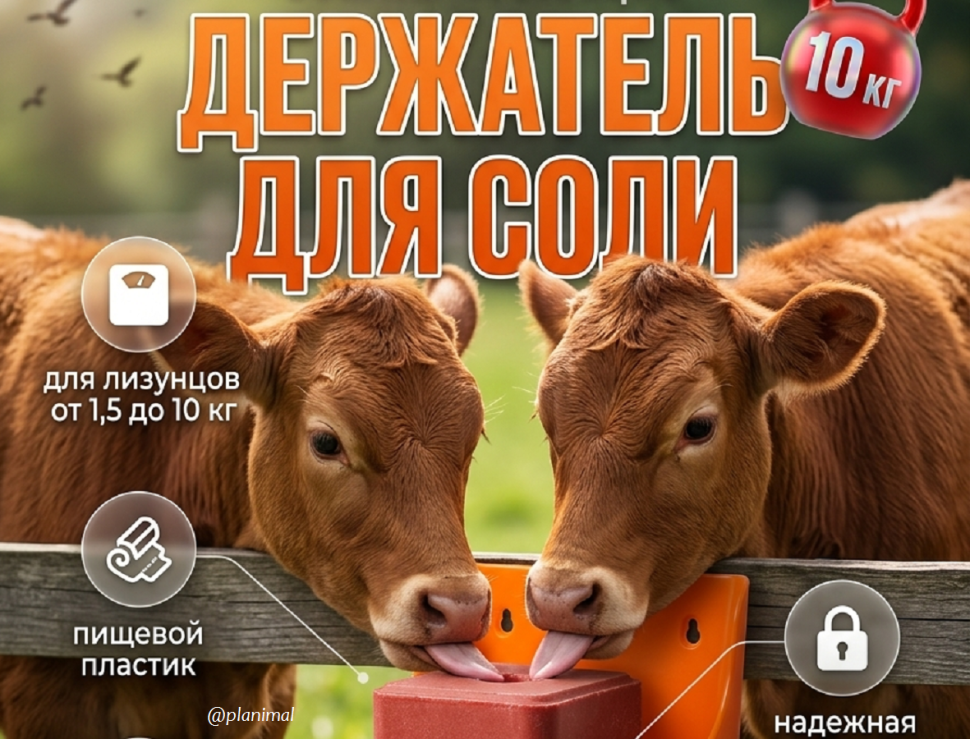 Держатель для соли до 10 кг с отверстием посредине, пластик