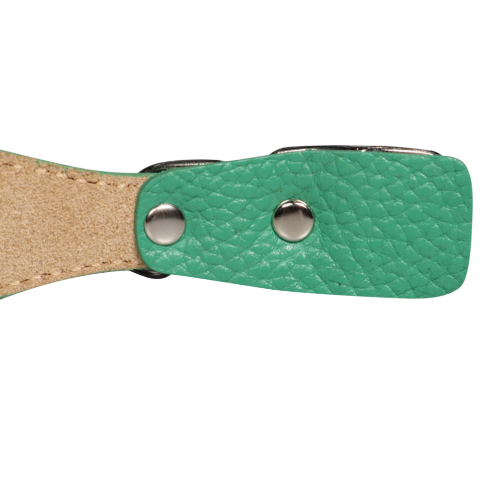 Mr.Kranch: Ошейник для собак, из натуральной кожи, с QR-адресником, зеленый, 38-45 см 