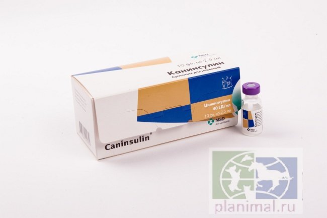 Intervet: Канинсулин, гормональное лекарственное средство, предназначенное для лечения инсулинозависимого диабета у собак и кошек, 2,5 мл