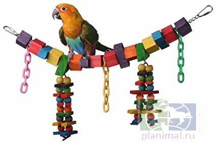 Super Bird:  Игрушка для волнистых и средних попугаев "Rainbow Bridge Jr."