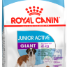 RC Giant Junior Active, сухой корм для щенков собак очень крупных размеров (вес взрослой собаки более 45 кг) с высокими энергетическими потребностями в возрасте с 8 до 18/24 месяцев, 15 кг