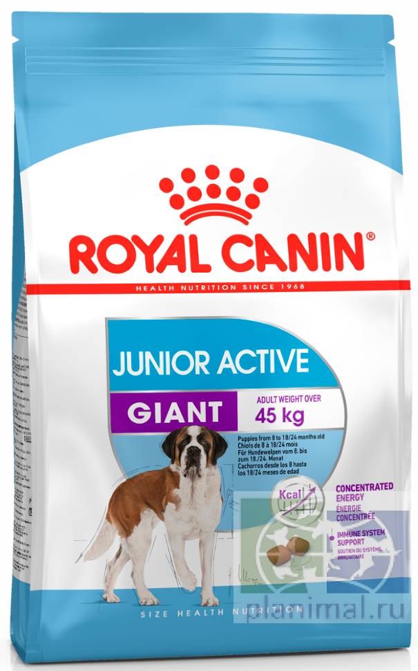 RC Giant Junior Active, сухой корм для щенков собак очень крупных размеров (вес взрослой собаки более 45 кг) с высокими энергетическими потребностями в возрасте с 8 до 18/24 месяцев, 15 кг