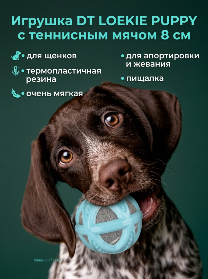 Flamingo: Игрушка DT LOEKIE PUPPY из термопластичной резины с теннисным мячом 8 см, бирюзовый, пищалка,  519713